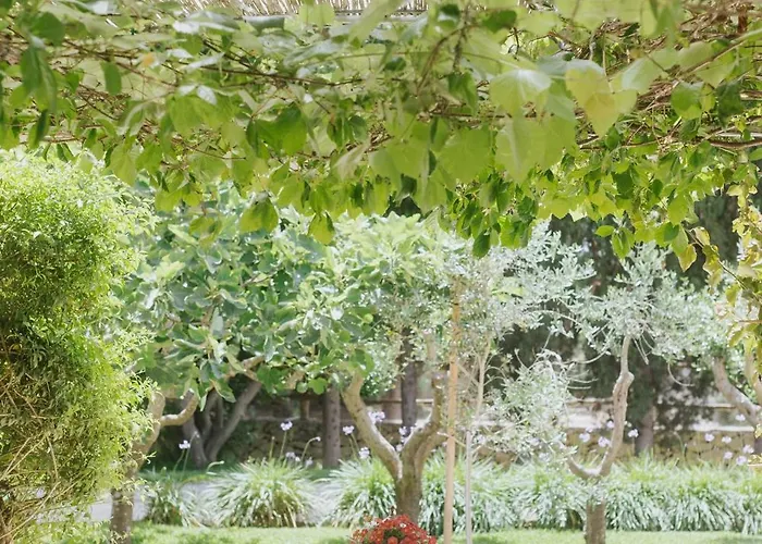 Masseria Montelauro 4* Otranto