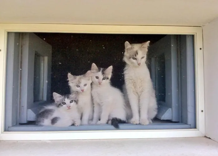 ホテル Masseria Montelauro